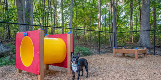 Halstead Countryside Gallery 23