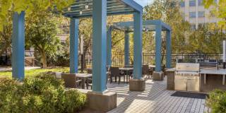 AVA Ballston Gallery 21