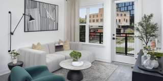 Camden Durham Gallery 16