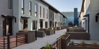 Star Harbor Gallery 25