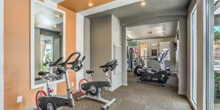 Madison at Black Mountain Gallery 7