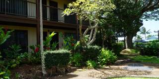 Coconut Inn Gallery 25