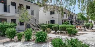 Tides on Palm Apartments Gallery 15