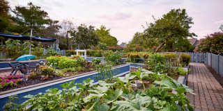 Lakeside Apartments Gallery 71