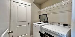 Mangold831 (KC-LN) Gallery 26