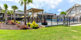 The Lory of Savannah Gallery 13