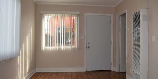 SHIRMAR 1 Gallery 7