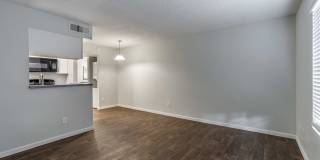 Rise on Cactus Gallery 54