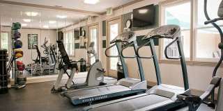 Emory Woods Gallery 11