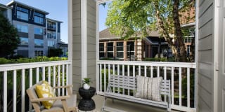 Lake Clearwater Gallery 19