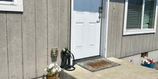 COOK_dup Gallery 3