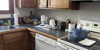 2510 Plumtree Grove - 1 Gallery 5