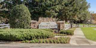 12423 Forest Lake Cir. N #1 - 1 Gallery 12