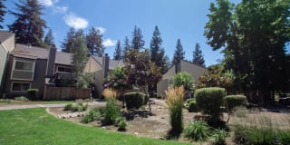 Selby Ranch Apartment Homes Gallery 44
