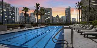 ParkLine Miami Gallery 59