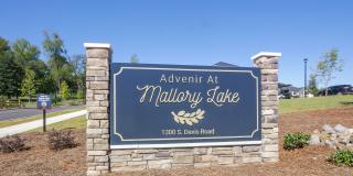 Advenir at Mallory Lake Gallery 25