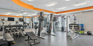 Canton Woods Gallery 4