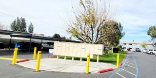 Golden Oaks Gallery 12