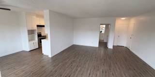 5301NEW 5301NEW Gallery 1
