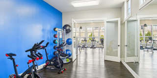 Dream Asheville Exchange Gallery 39