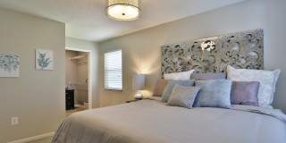 Island Club Gallery 7