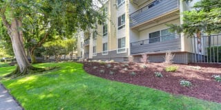 The Retreat Apartments Gallery 25