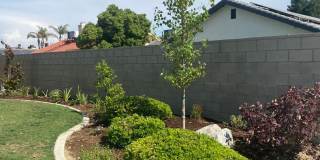 Gorgeous 3 Bedroom 2 Bath Home Gallery 3