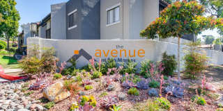 Avenue at San Marcos Gallery 2