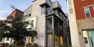 137 Mirth 137 Mirth Gallery 1