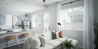 Canopy at Sundance Gallery 3