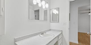 Shannon South Gallery 6