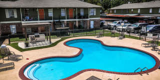 Spring Pine Gallery 18