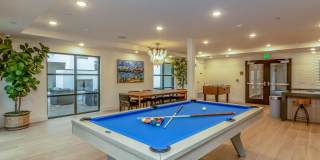 Vineyards Gallery 44