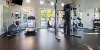 The Kensington Gallery 22