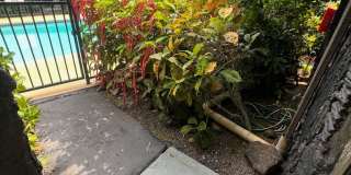 1 Bed/2 Bath Condo in downtown Kona (furnished) 1 Bed/2 Bath Condo in downtown Kona (furnished) Gallery 13