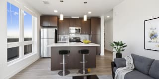 The Hooper Gallery 1