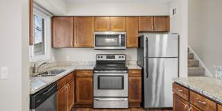 Beach South Gallery 26