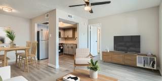 Rise Spring Pointe Gallery 19