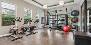 Castile Apartments Gallery 10