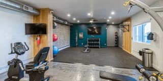 ReNew Biltmore Gallery 24