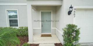 9667 Summers Cay Circle Gallery 2