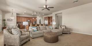 28484 N 92nd Place Gallery 15