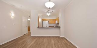 Mission Hills Commons Gallery 10