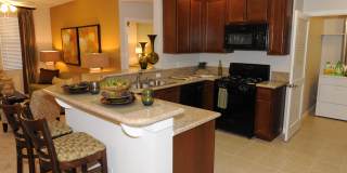 Cresta Bella Gallery 16