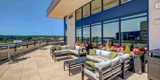 Parkside Esterra Gallery 11