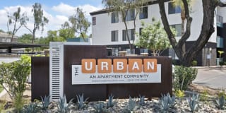 The Urban Gallery 31