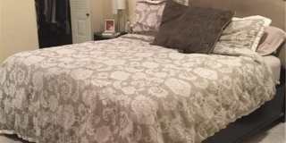 10875 Lake Front Place Gallery 11