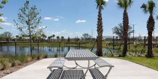 Lake Nona Concorde Gallery 21