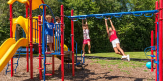 Rose Vista Gallery 18