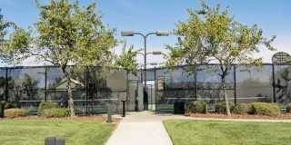 Towpath Village Gallery 20